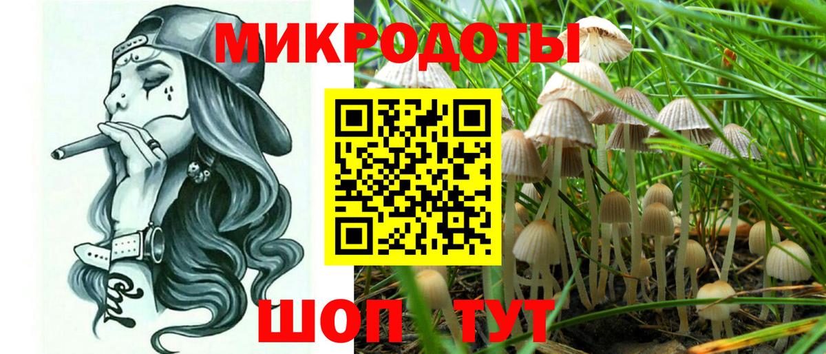 сколько стоит  Галлюциногенные грибы MAGIC MUSHROOMS  Вход с VPN  Тверь  Галлюциногенные грибы Psilocybe 